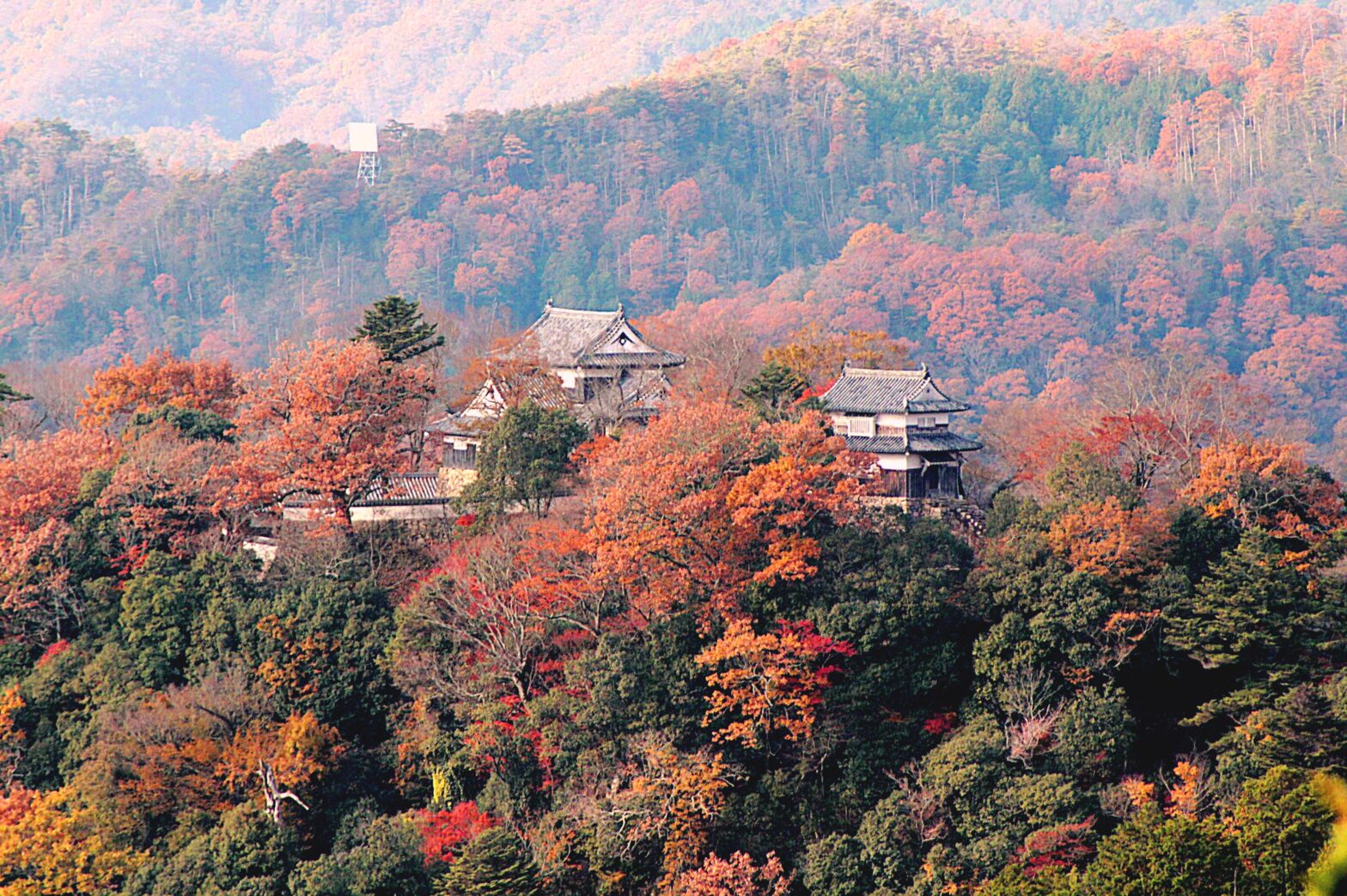 第2回｜「天空の城」備中松山城とは？その魅力と歴史を徹底解説！なぜ