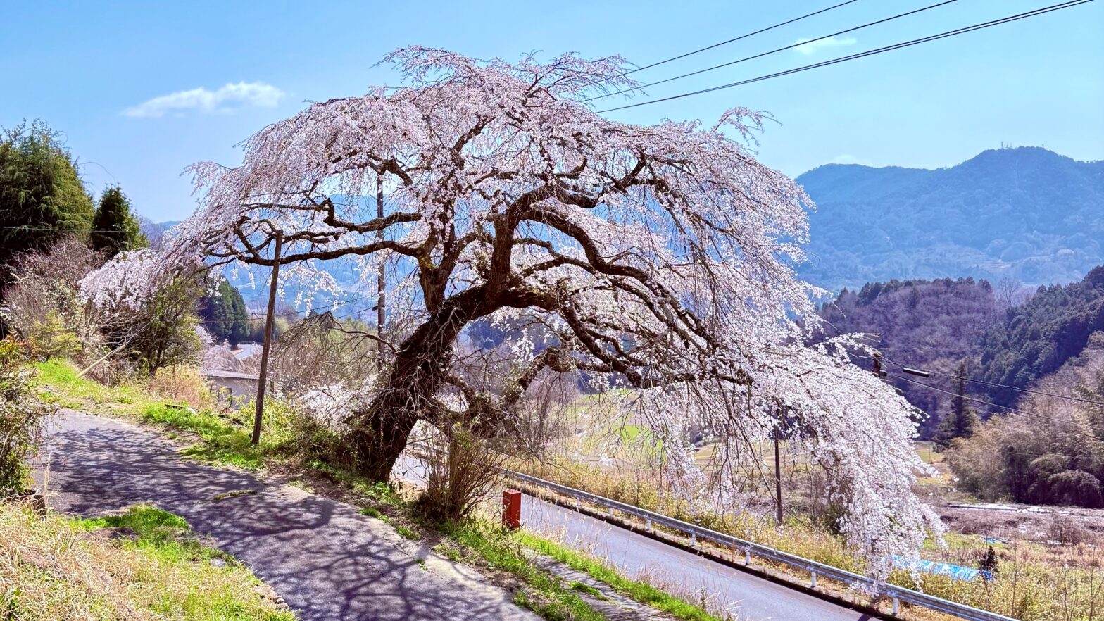 体験 - ゆるたび高梁